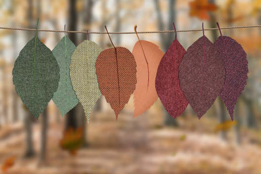 Picture of autumn leaves